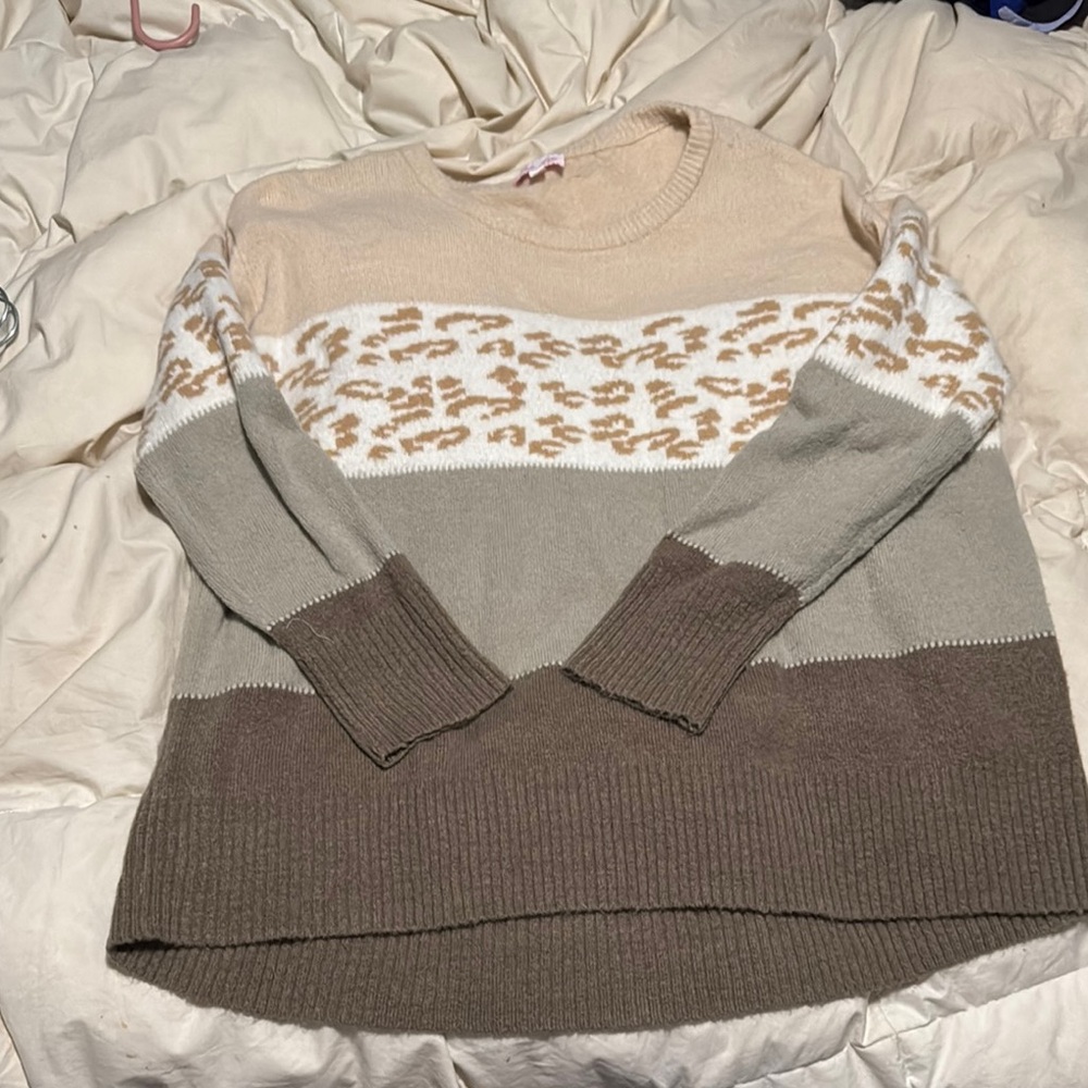 Leopard and striped sweater